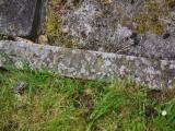 image of grave number 919816